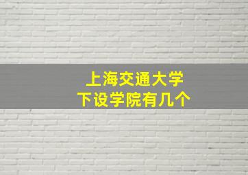 上海交通大学下设学院有几个