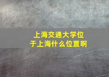 上海交通大学位于上海什么位置啊