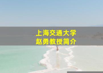 上海交通大学赵勇教授简介