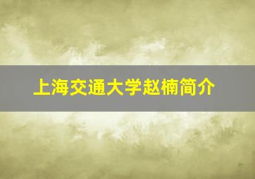 上海交通大学赵楠简介