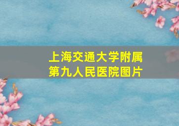 上海交通大学附属第九人民医院图片