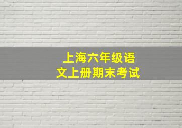 上海六年级语文上册期末考试