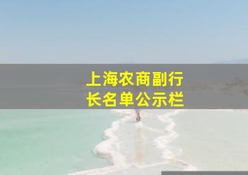 上海农商副行长名单公示栏