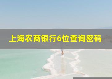 上海农商银行6位查询密码