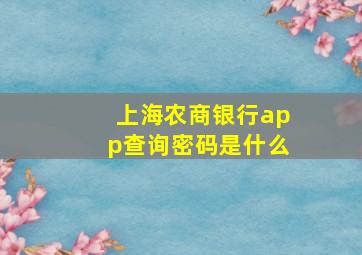 上海农商银行app查询密码是什么