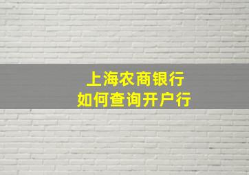 上海农商银行如何查询开户行