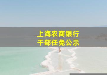 上海农商银行干部任免公示