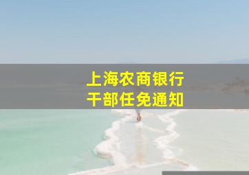 上海农商银行干部任免通知