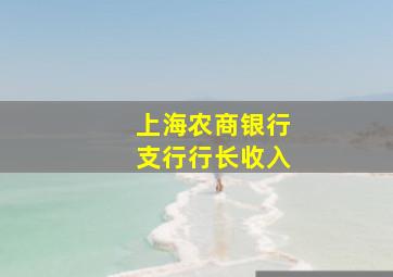 上海农商银行支行行长收入