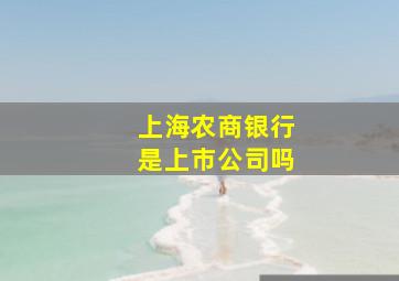 上海农商银行是上市公司吗