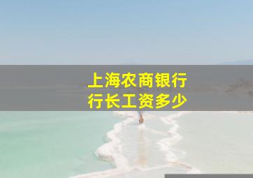 上海农商银行行长工资多少