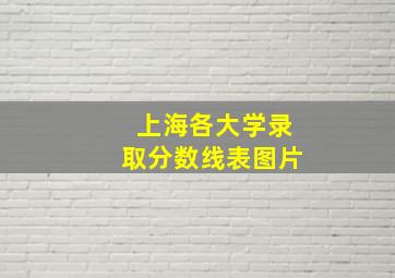 上海各大学录取分数线表图片