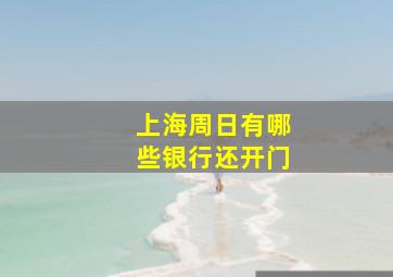 上海周日有哪些银行还开门