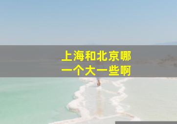 上海和北京哪一个大一些啊