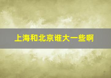 上海和北京谁大一些啊