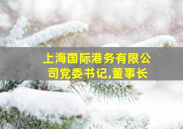 上海国际港务有限公司党委书记,董事长