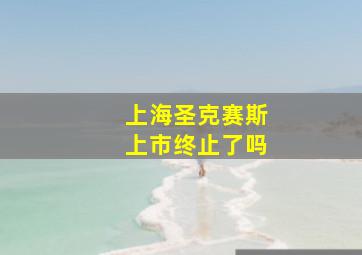 上海圣克赛斯上市终止了吗