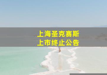 上海圣克赛斯上市终止公告