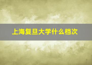 上海复旦大学什么档次