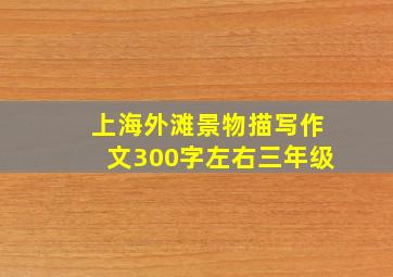 上海外滩景物描写作文300字左右三年级