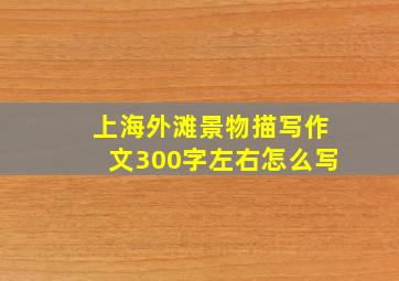 上海外滩景物描写作文300字左右怎么写