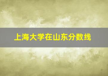 上海大学在山东分数线