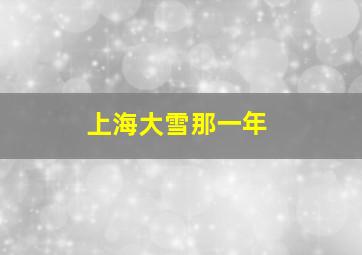 上海大雪那一年