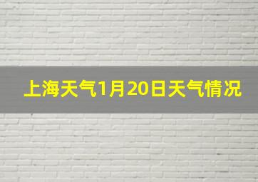 上海天气1月20日天气情况