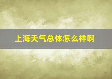 上海天气总体怎么样啊