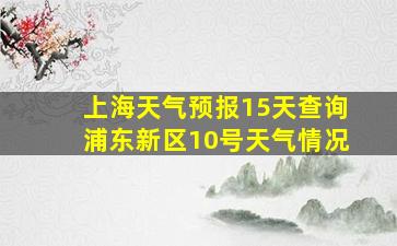 上海天气预报15天查询浦东新区10号天气情况