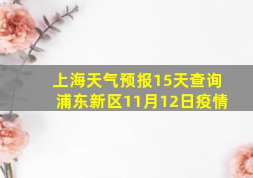 上海天气预报15天查询浦东新区11月12日疫情