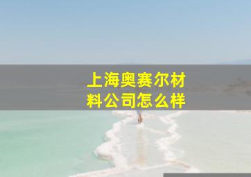 上海奥赛尔材料公司怎么样