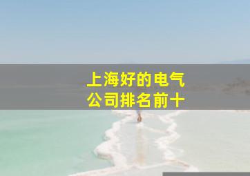 上海好的电气公司排名前十