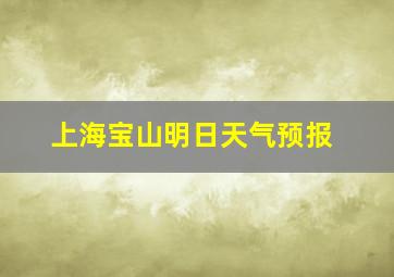 上海宝山明日天气预报