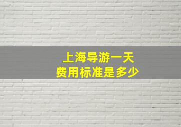 上海导游一天费用标准是多少