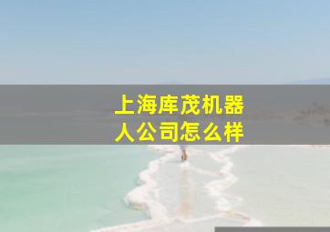 上海库茂机器人公司怎么样