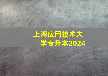 上海应用技术大学专升本2024