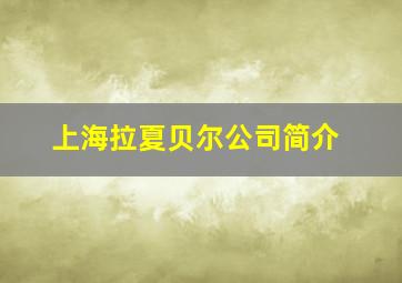 上海拉夏贝尔公司简介