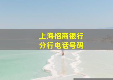 上海招商银行分行电话号码