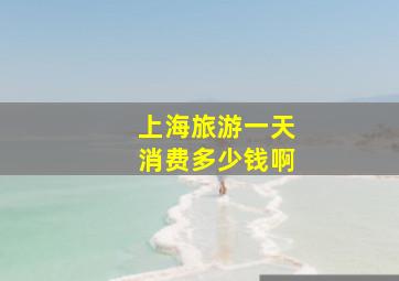 上海旅游一天消费多少钱啊