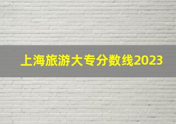 上海旅游大专分数线2023