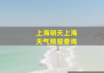 上海明天上海天气预报查询