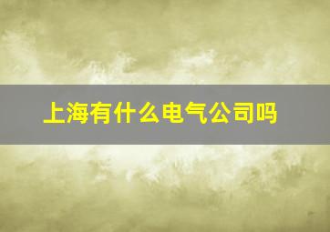 上海有什么电气公司吗