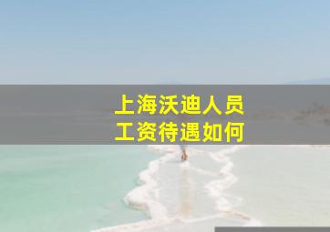 上海沃迪人员工资待遇如何