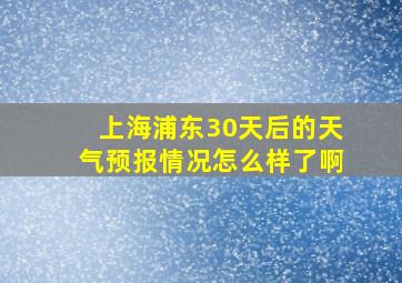 上海浦东30天后的天气预报情况怎么样了啊