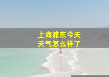 上海浦东今天天气怎么样了