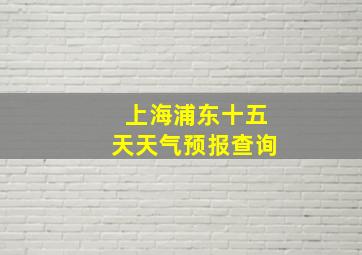 上海浦东十五天天气预报查询