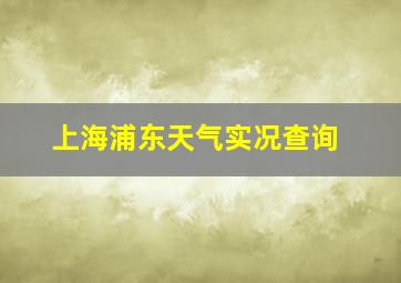 上海浦东天气实况查询