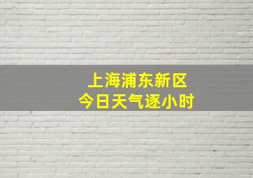 上海浦东新区今日天气逐小时