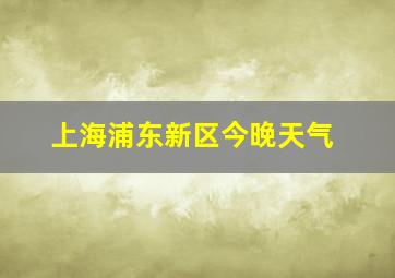 上海浦东新区今晚天气